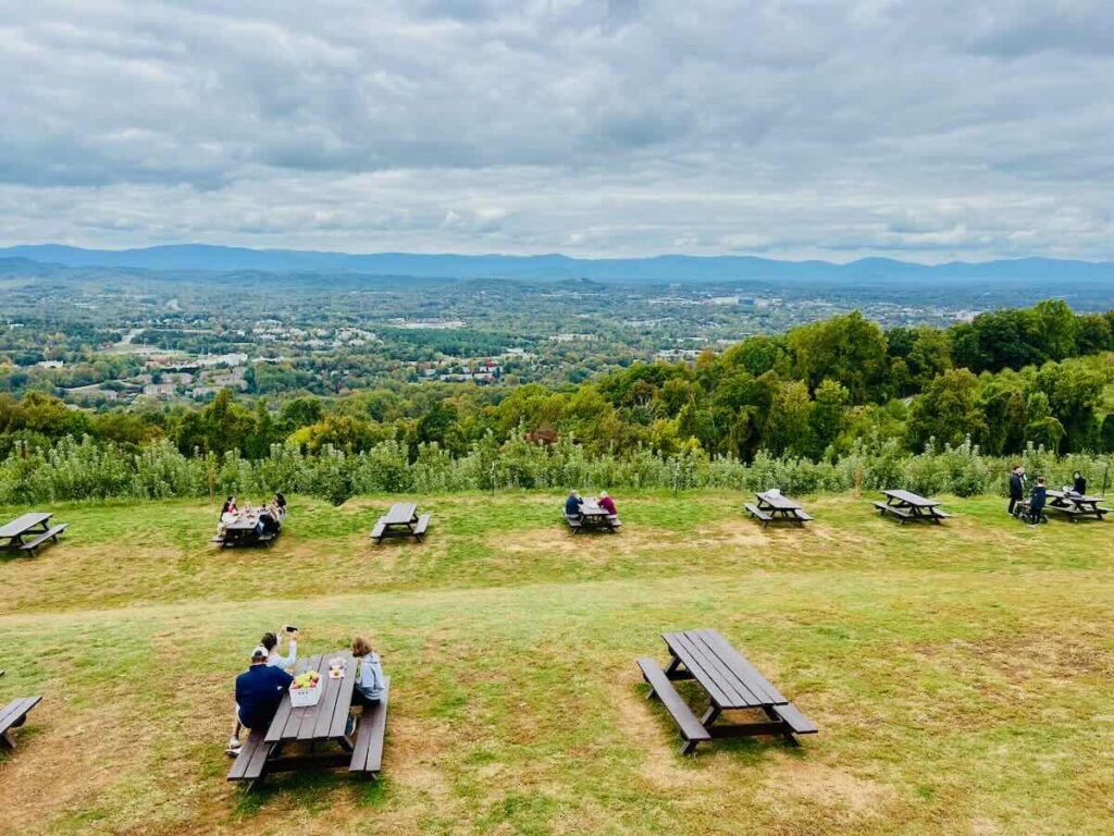 Picnic area and a beautiful view of Charlottesville and the Blue Ridge Mountains from Carter Mountain Orchard.