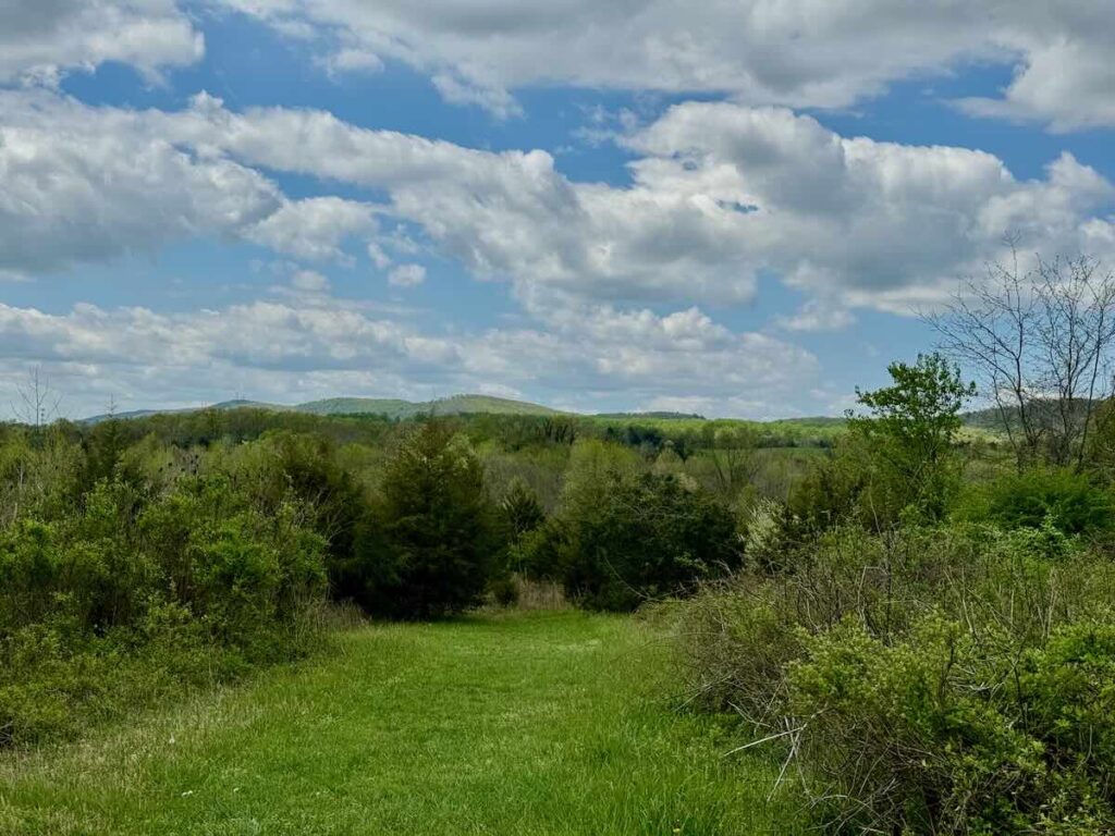 Blue Ridge Mountain View from Gilberts Corner Park Hike in Northern Virginia