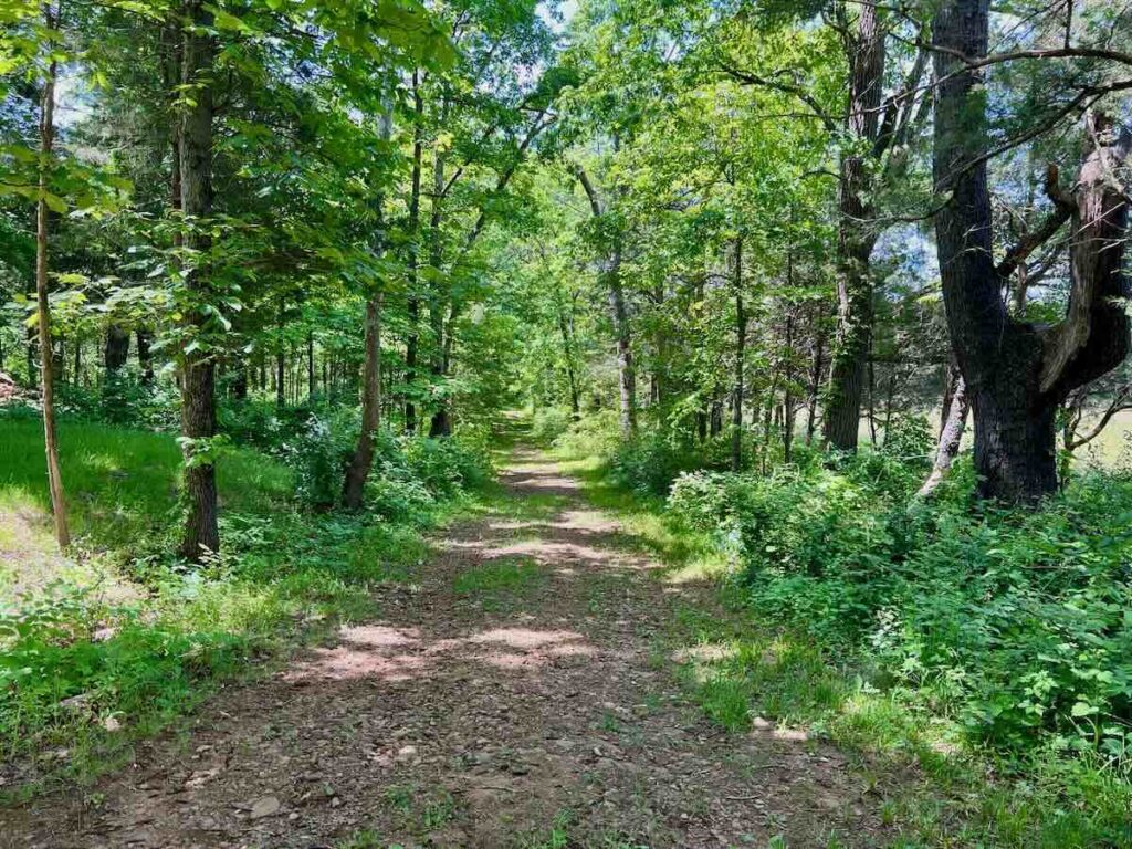 Old Carolina Road Trail at Mt Zion Historic Park in Aldie VA
