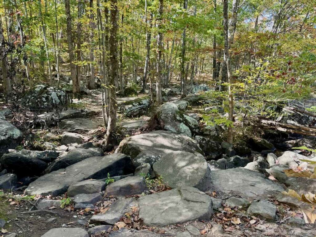 Beaverdam South Rocky Trail